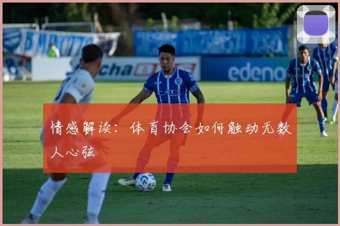 情感解读:体育协会如何触动无数人心弦
